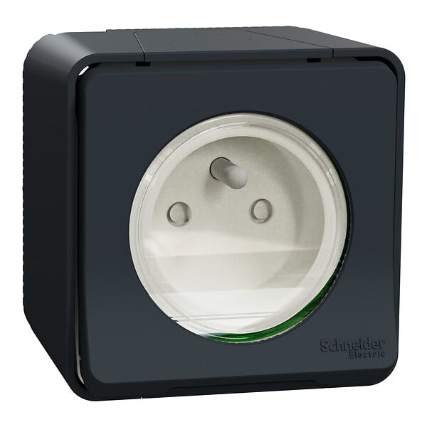 SCHNEIDER ELECTRIC - Mureva Styl-Prise de courant 2P+T avec cache-Anthracite - large