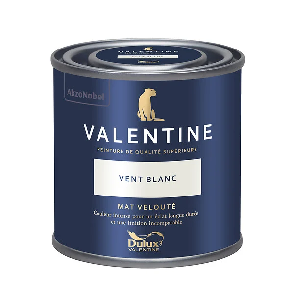 DULUX VALENTINE - Peinture murs&boiseries Valentine  Mat Velouté Vent Blanc 0,125L - large
