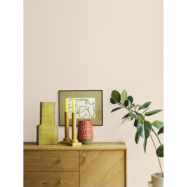 DULUX VALENTINE - Peinture murs boiseries - Mat Velouté - Eclat d'Albâtre 1L - large