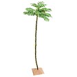 VIDAXL - vidaXL Palmier à  LED 192 LED Blanc chaud 300 cm - vignette