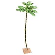 VIDAXL - vidaXL Palmier à  LED 136 LED Blanc chaud 220 cm - vignette