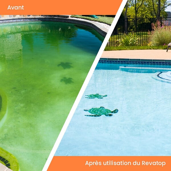 MAREVA - Algicide MAREVA REVATOP 12 % - 5 L - 000124U - large