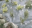NORTENE - Toile de paillage 90g-m2 - L210cm - - vignette