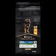 PROPLAN - Croquettes chiot Puppy Robust - Poulet - 12kg - vignette