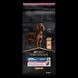 PROPLAN - Croquettes chien - Saumon - Grande race adulte - 14kg - vignette