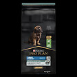 PROPLAN - Croquettes chien Large robust - Agneau - 12kg - vignette