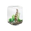 OASE - Aquarium 15l Led Transparent - LIFE 15 LED TRANSPARENT - vignette