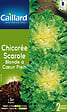 CAILLARD - Chicorée scarole blonde à coeur plein - vignette