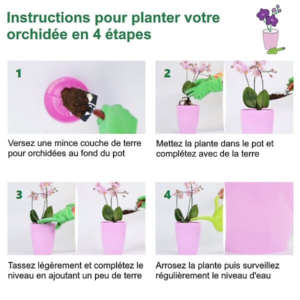 GT GARDEN - Lot de 3 pots pour orchidées avec réserve d'eau - Arte-dea rose transparent 2 litres - large