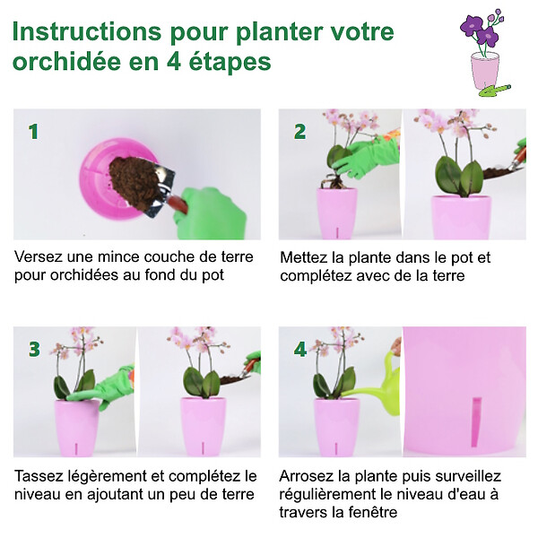 GT GARDEN - Lot de 3 pots pour orchidées avec réserve d'eau - Orchidea blanc 2 litres - large