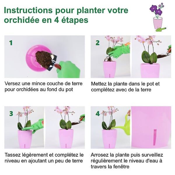 GT GARDEN - Lot de 3 pots pour orchidées avec réserve d'eau - Orchidea sable 2 litres - large