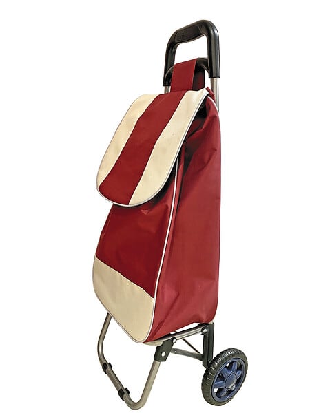 AFGFRANCE - Poussette de marche 30l - large