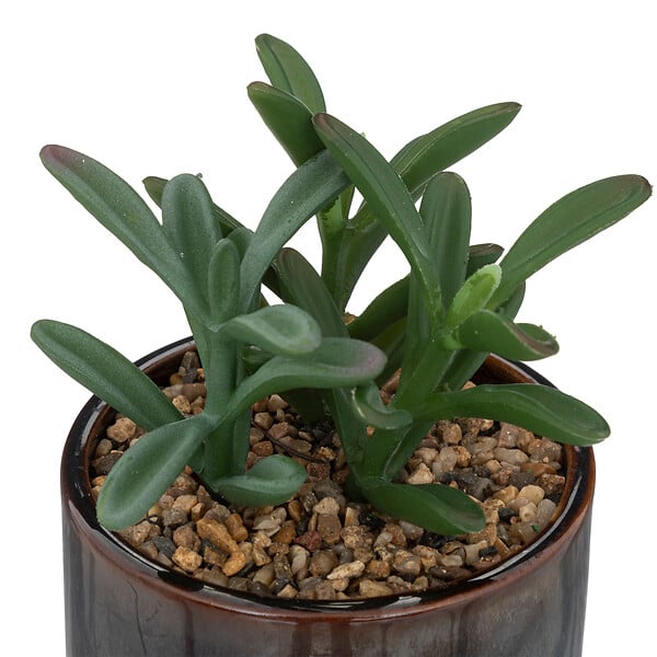 ATMOSPHERA - Plante grasse artificielle - Pot céramique - H.10cm - large