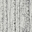 LUTECE - bouleau photo gris / blanc - vignette
