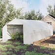 OUTSUNNY - Serre tunnel de jardin dim. 5,93L x 3l x 2H m porte + 8 fenêtres enroulables acier galvanisé bâche PE haute densité blanc - vignette