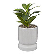 ATMOSPHERA - Plante artificielle pot céramique - Blanc et vert - H30cm - vignette