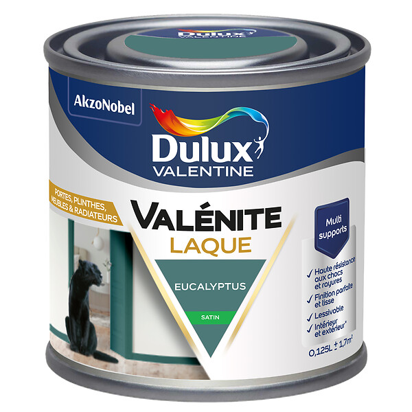 DULUX VALENTINE - Laque Acrylique Valénite Satin-Eucalyptus-0.125L - large