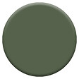 DULUX VALENTINE - Laque Acrylique Valénite - Vert Tropical - 125ml - vignette