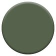 DULUX VALENTINE - Laque Acrylique Valénite Mat-Vert Tropical-0.5L - vignette