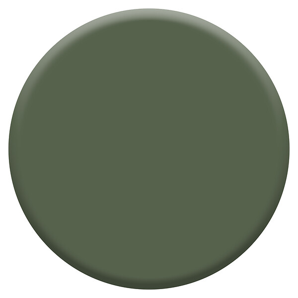 DULUX VALENTINE - Laque Acrylique Valénite Satin-Vert Tropical-2L - large