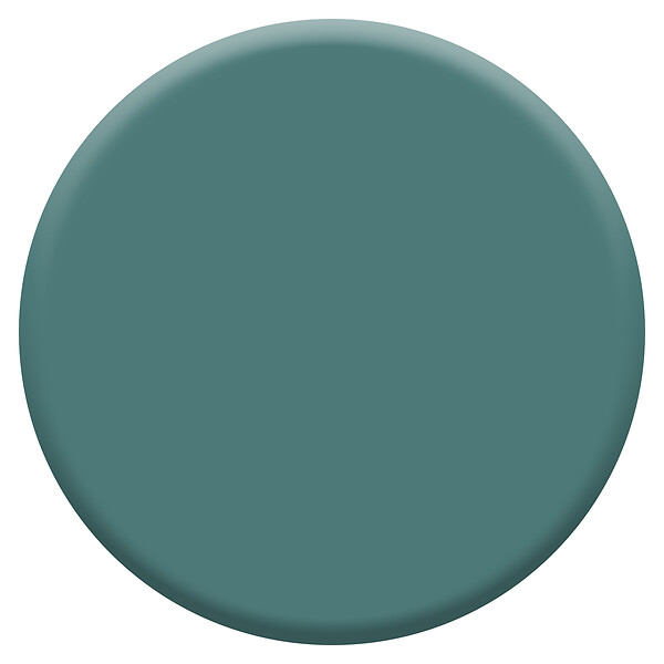 DULUX VALENTINE - Laque acrylique mate Eucalyptus - 0,5L - large