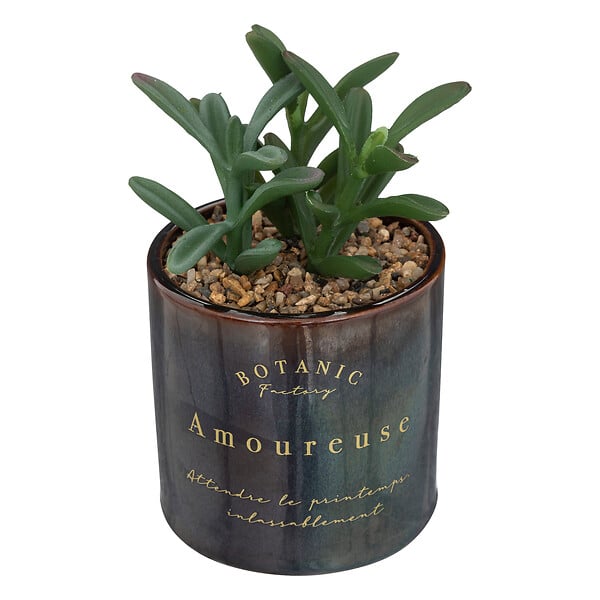 ATMOSPHERA - Plante grasse artificielle - Pot céramique - H.10cm - large