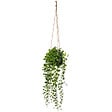 ATMOSPHERA - Plante artificielle suspendue - Pot ciment - Living - Vert - vignette