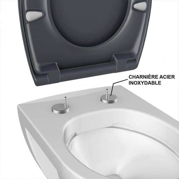 BEMIS - Abattant déclipsable frein de chute plastique thermodur Click & clean anthracite - large