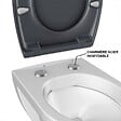 BEMIS - Abattant déclipsable frein de chute plastique thermodur Click & clean anthracite - vignette