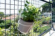 CENTRALE BRICO - Porte-pots soucoupe crochet - 16-18 cm - blanc - vignette