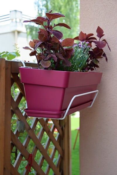 CENTRALE BRICO - Support jardinière fil classique - 35x18 cm blanc - large