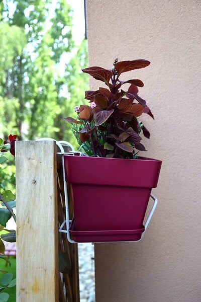 CENTRALE BRICO - Support jardinière fil classique - 35x18 cm blanc - large