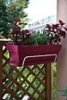 CENTRALE BRICO - Support jardinière fil classique - 35x18 cm blanc - vignette
