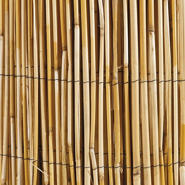 WERKAPRO - Canisse en roseau naturel  1 x 10 m - large