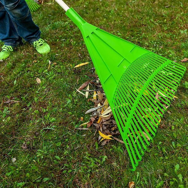 WERKAPRO - Balai à feuilles 30 dents - large