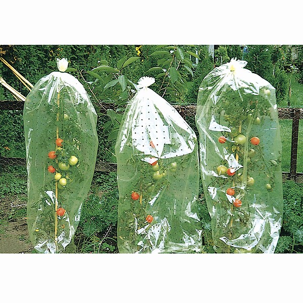 WINDHAGER - Housse perforée pour tomates - large