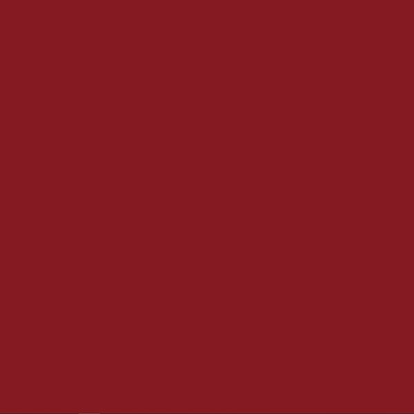 FM SPRAY - Bombe de peinture rouge 400ml Rouge ruby - RAL 3003 - large