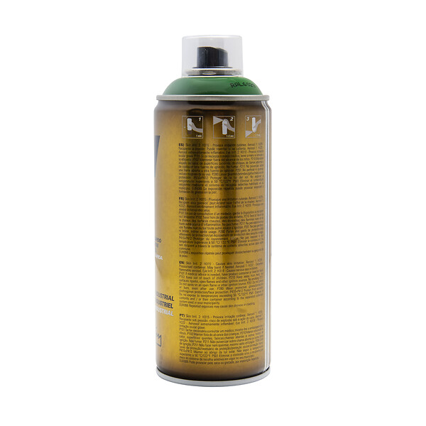 FM SPRAY - Bombe de peinture vert 400ml Vert menthe - RAL 6029 - large