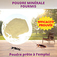 ACTO - Poudre de chabasite fourmis - vignette