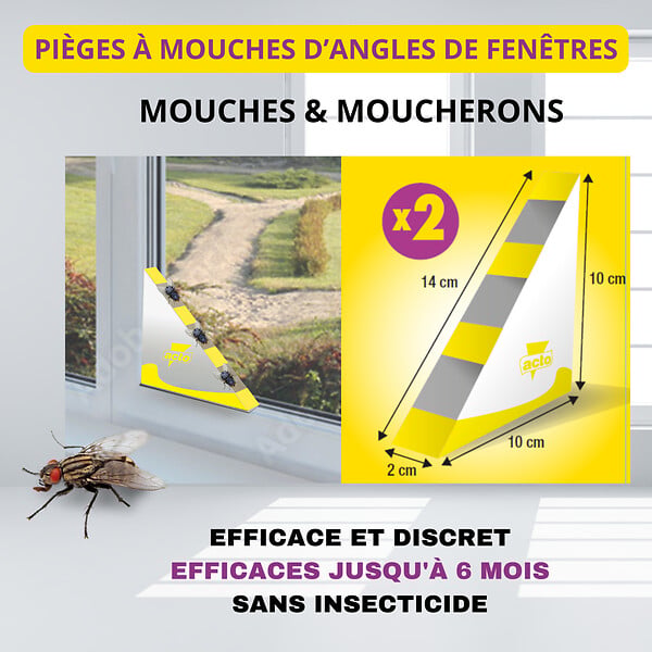ACTO - Piège à mouches - Angle fenêtre - Parfum banane - Lot de 2 - large