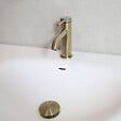 ESSEBAGNO - Lollipop mit lav bas or brosse - vignette