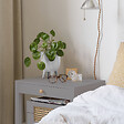 MAISON DECO - Aérosol MAT POUDRE TERRE GRISE 400ML - vignette