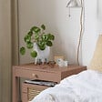 MAISON DECO - Aérosol MAT POUDRE ECORCE 400ML - vignette