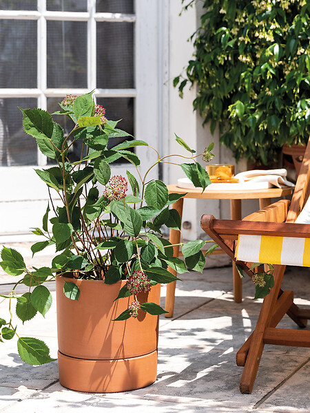 DEROMA - Coupe Modul'O Cotto 25cm - large