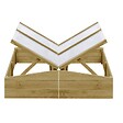 VIDAXL - vidaXL Serres 2 pcs Bois de pin imprégné 100x50x35 cm - vignette