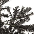VIDAXL - vidaXL Sapin de Noël étroit Noir 210 cm - vignette