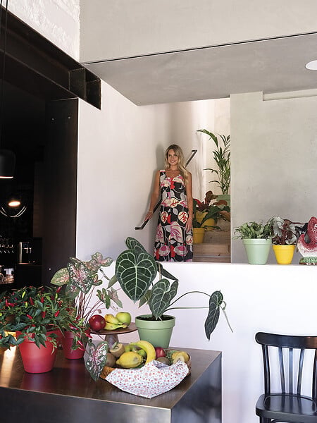DEROMA - Pot Colorama Sauge terre cuite - Vert - Diam.15,2xH.13,3cm - large