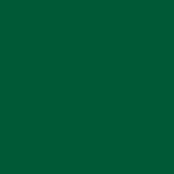 NUANCE - Peinture aerosol - Vert pin  - Satin -  400ml - large