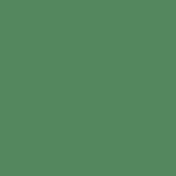 NUANCE - Peinture aerosol - Vert sequoia  - Mat -  400ml - large