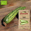 ASSOCIATION KOKOPELLI - Courgette Nimba- Graines bio à semer - vignette